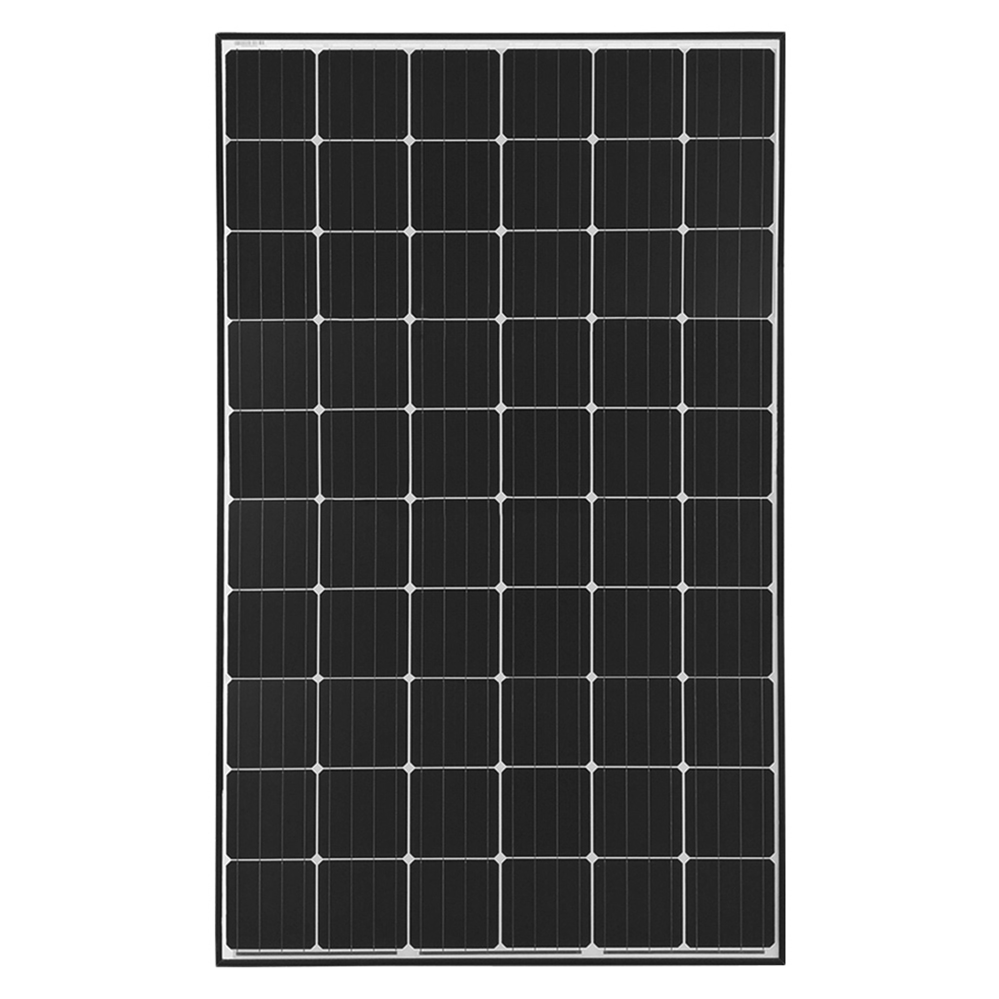 300 Watt 24 Volt Monocrystalline Solar Panel | Renogy Solar