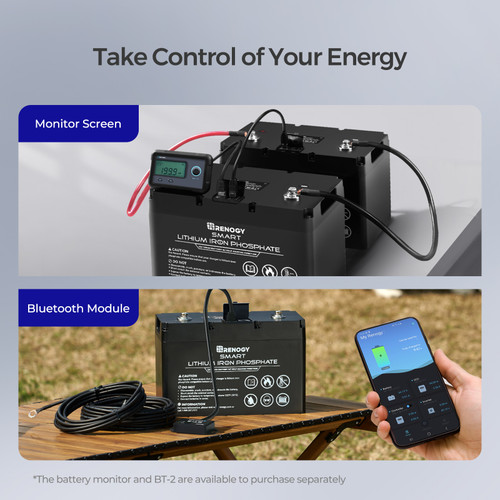 12V 100Ah Smart Lithium Iron Phosphate Battery w/ Self-Heating Function