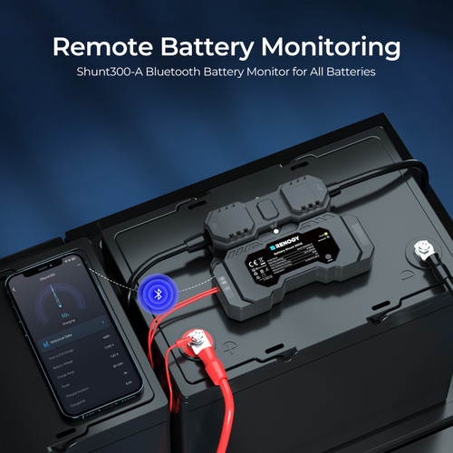 Renogy Battery Monitor