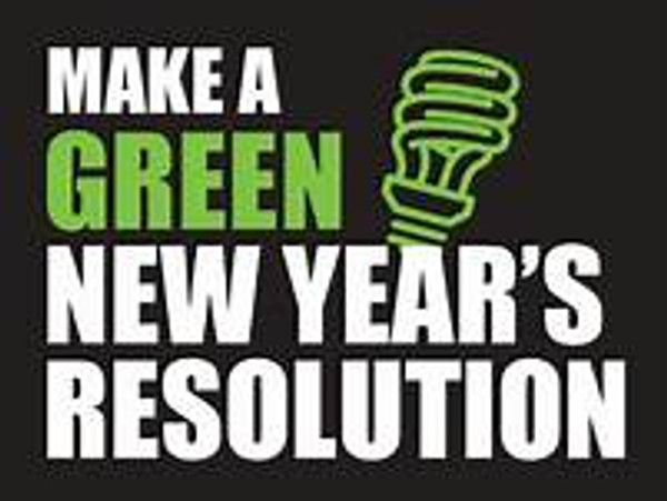 New Year, New Decade, New Green Goals