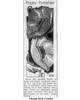 Mail Order Pattern No 372, Crocheted Poppy Potholder Newspaper Advertisement