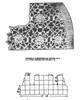 Illustration of Irish Rose Cardigan