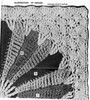 Crochet Fan Block Illustration in Knitting Worsted