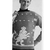 Vintage Lion Pullover Knitting Pattern, Vintage 1960s