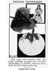 Mail Order Design pattern 1167, crocheted potholders newspaper advertisement