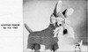 Vintage Crochet Terrier Dog Pattern 