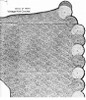 Shell Stitch Crochet Jacket Pattern Illustration, Mail Order 864