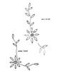 Illustration of embroidery for top