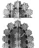 Oval Round Daisy Doily Pattern Illustrations for Design 7483