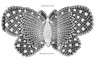 Crochet Lace Butterfly Pattern illustration mail order design 519