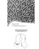 Crochet Pineapple Stole Illustration for Design 998