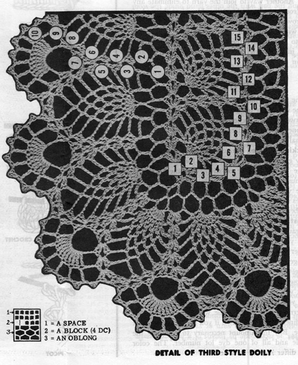 Oval Pineapple Crochet Doily Illustration, Laura Wheeler 686