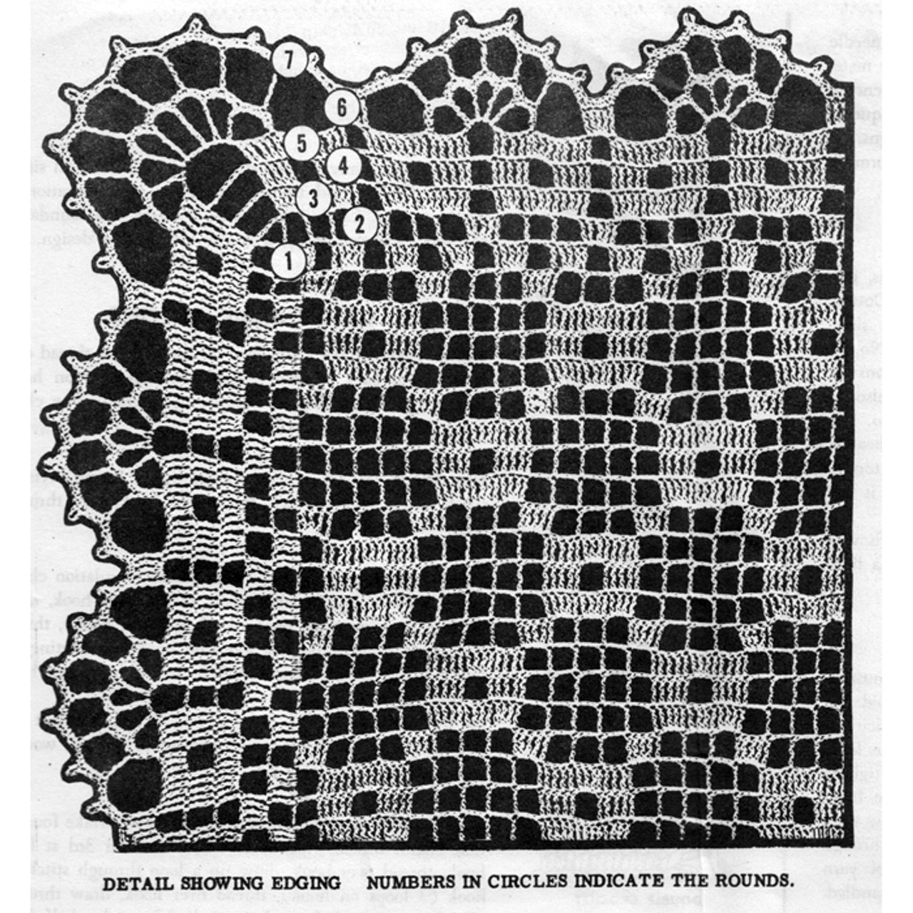 Filet Crochet Honeycomb Cloth, Shell Border, Pattern, Design 803