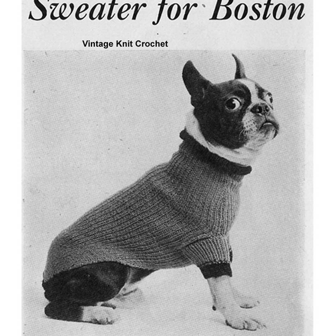 Knitted Boston Terrier Sweater Pattern - Main Image