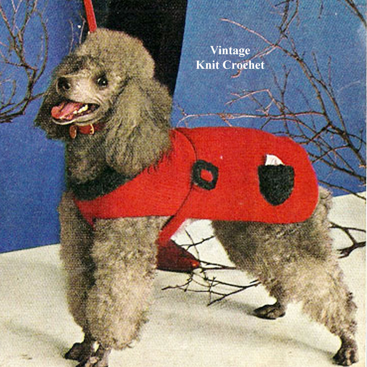 Vintage Dog Coat Knitting Pattern 