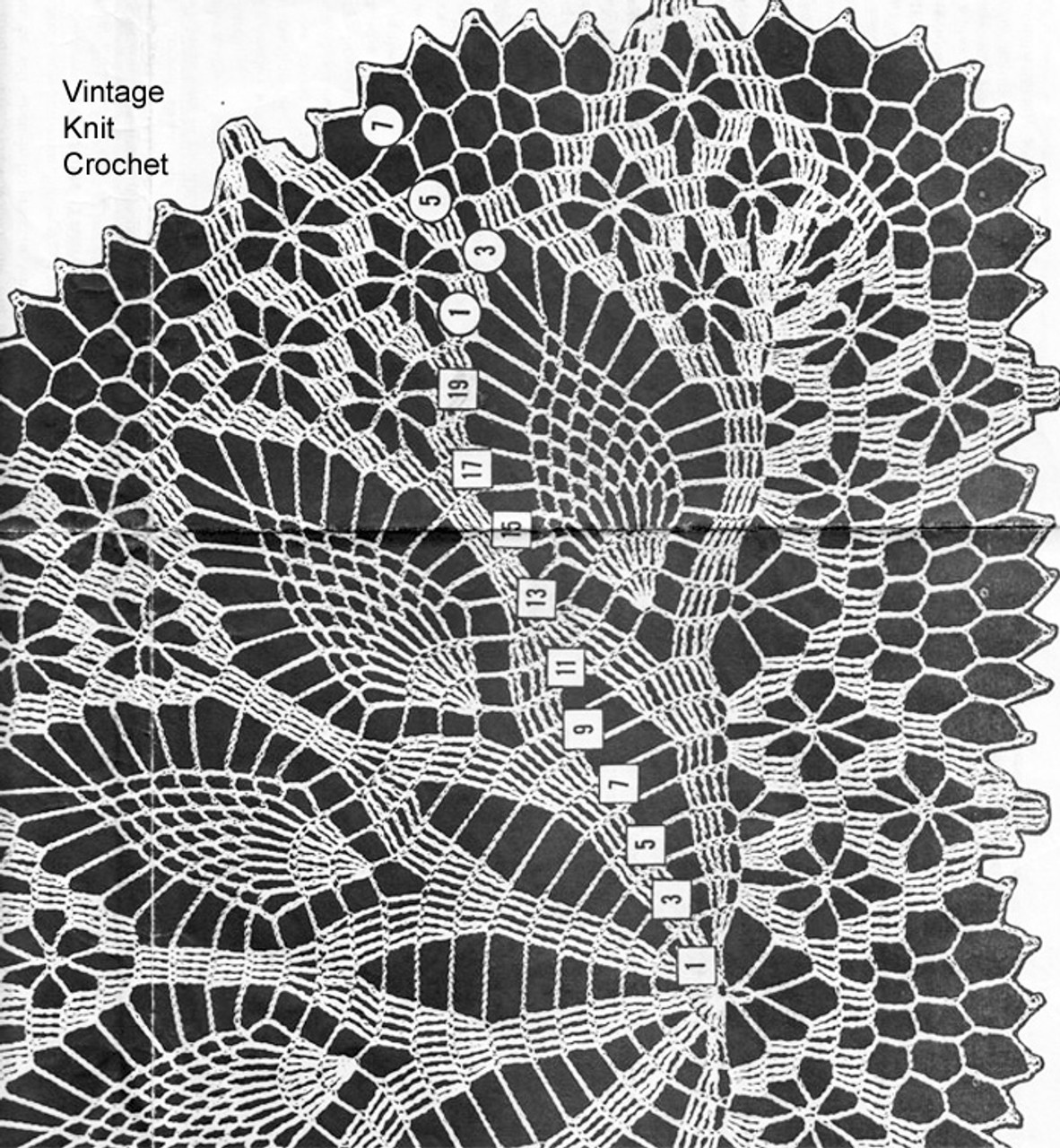 Pineapple Crochet Pattern Illustration, laura wheeler 859