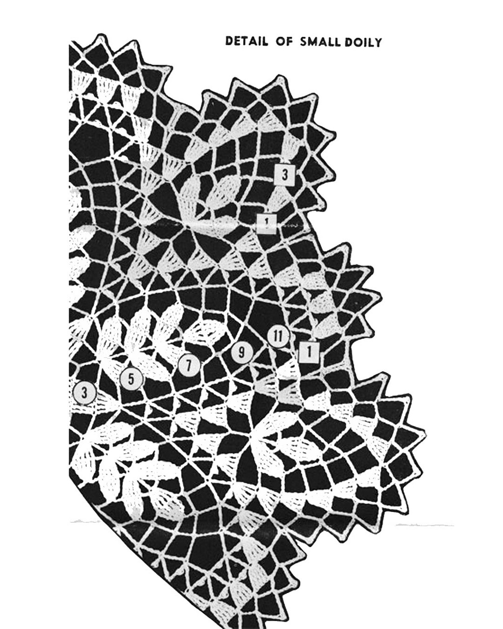 Small Fern Crochet Doily Pattern Illustration for Design 520