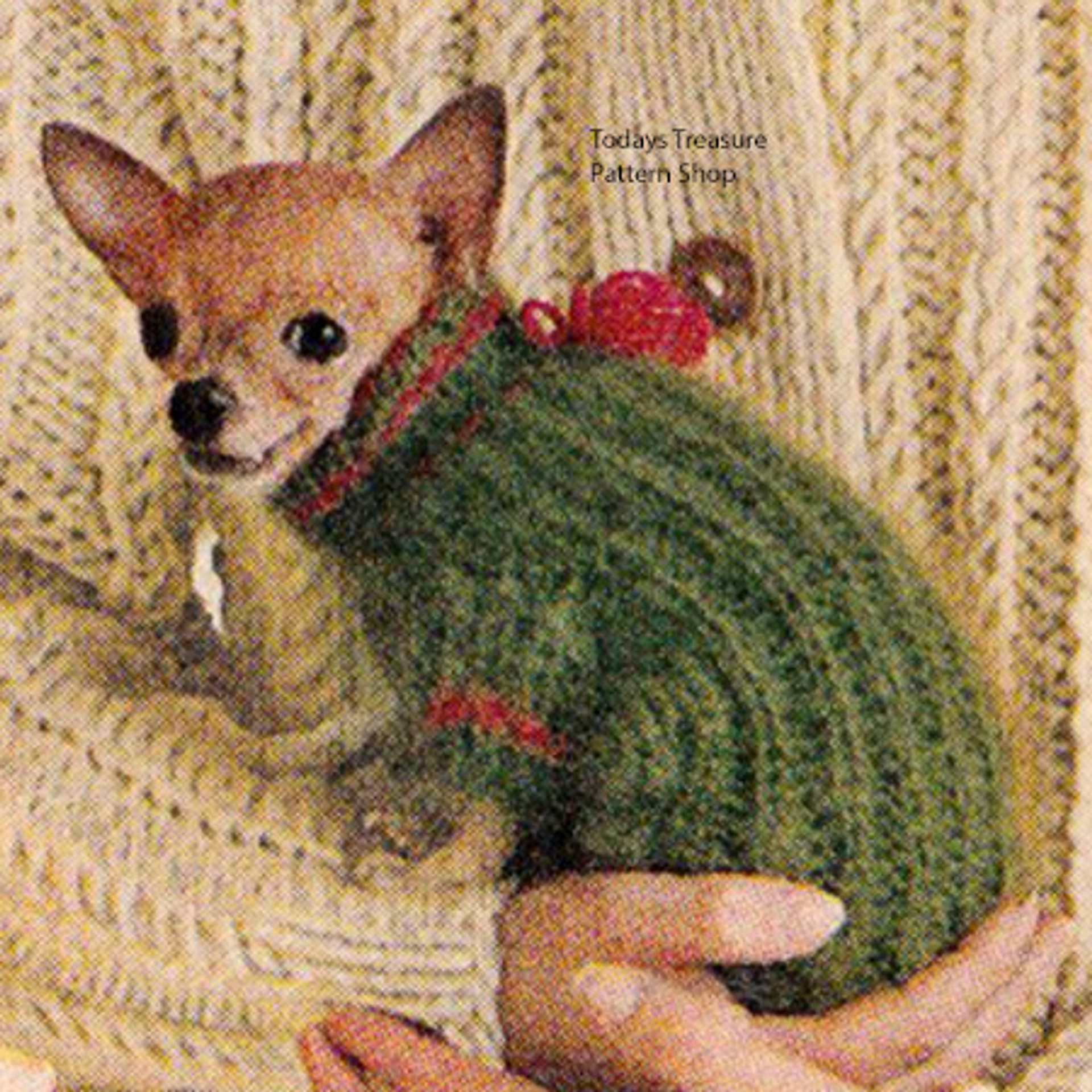 Chihuahua Dog Sweater Knitting Pattern, Vintage 1960s