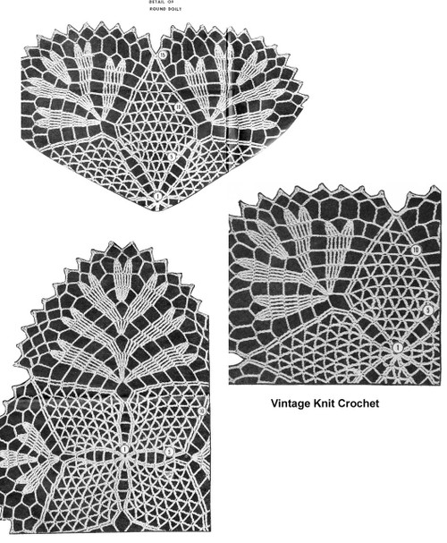 Square Round Oval Spiderweb Doilies Illustration for Design 7200