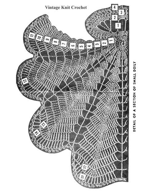 Illustration of Shell Doily Design 563