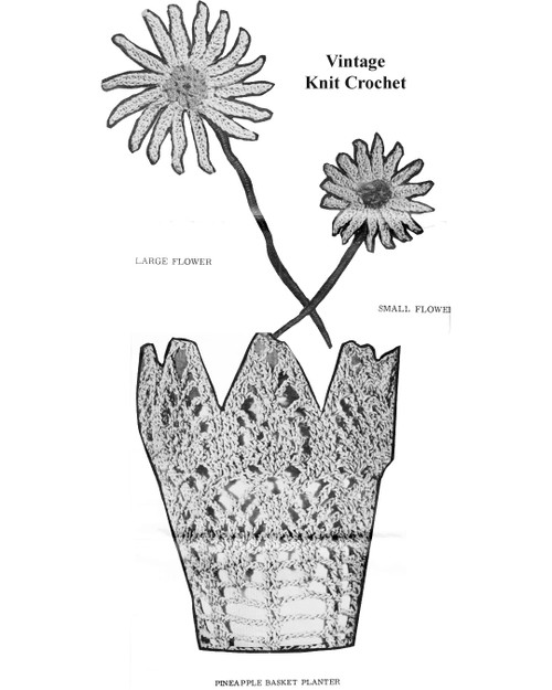 Daisy and  crochet Pineapple Planter Illustration