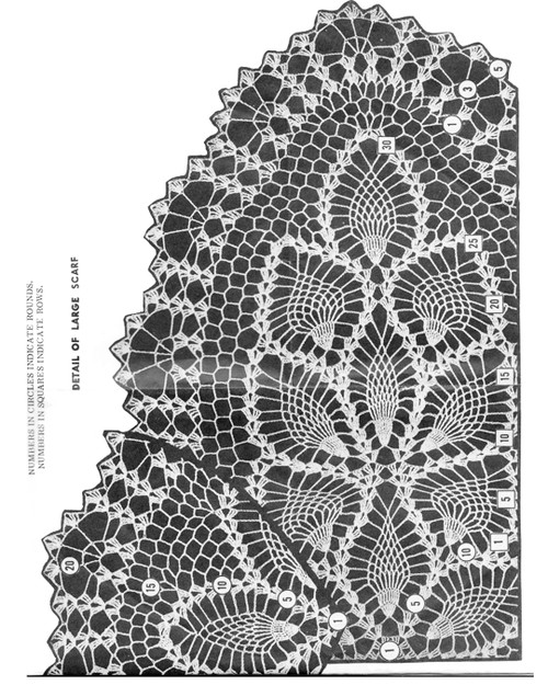 Crochet Pattern Stitch Illustration for pineapple Scarf