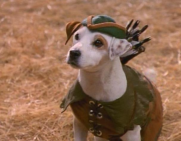 wishbone.jpg