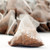 Clanwilliam Rooibos Blank Tag Pyramid Teabags