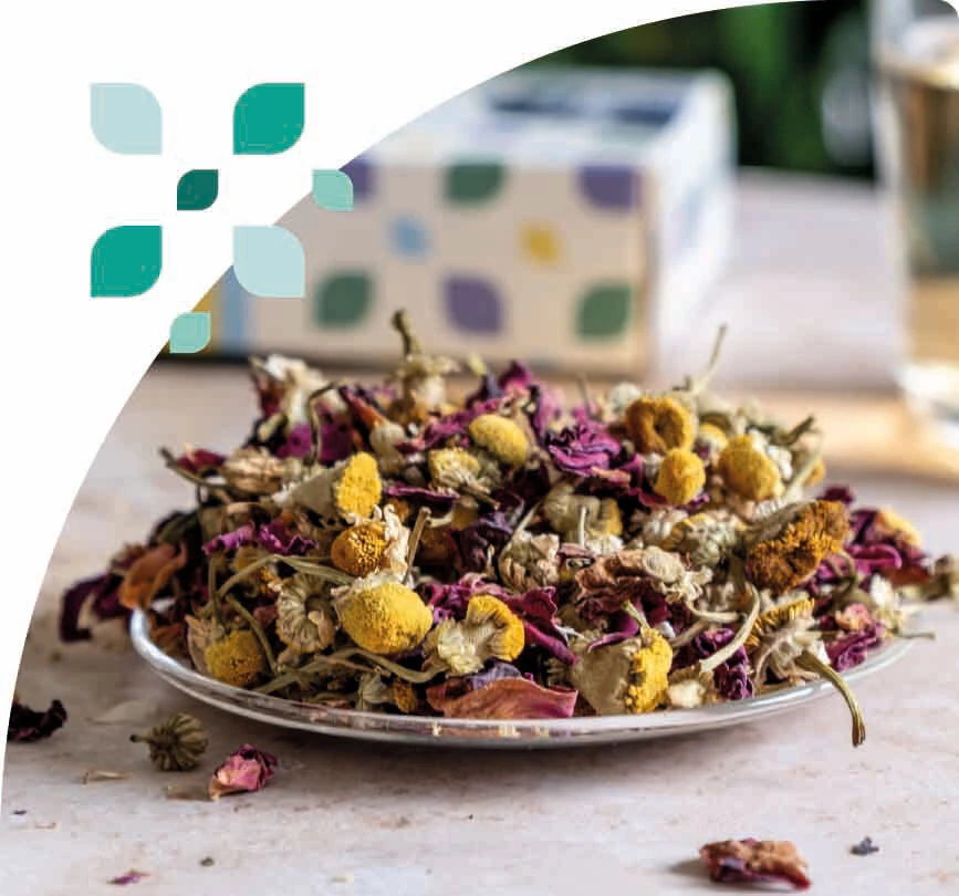 Jenier Autumn Teas with a classic mug, pumpkin and tean