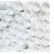 Model 350 Flex Flow PVC Tube 10' with Belled End PVC-1006