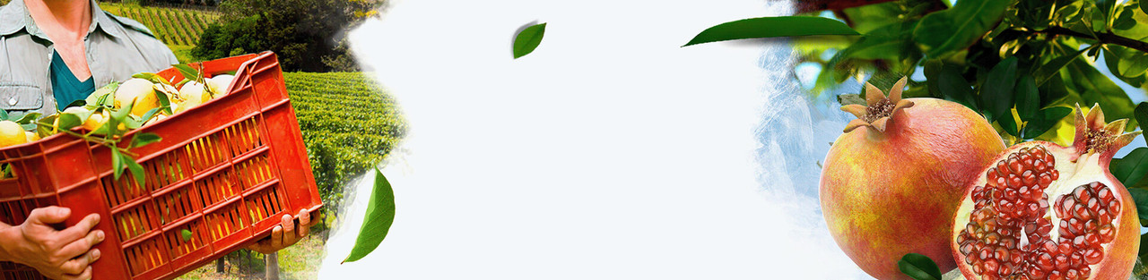 Our signature fixture that bends to your will