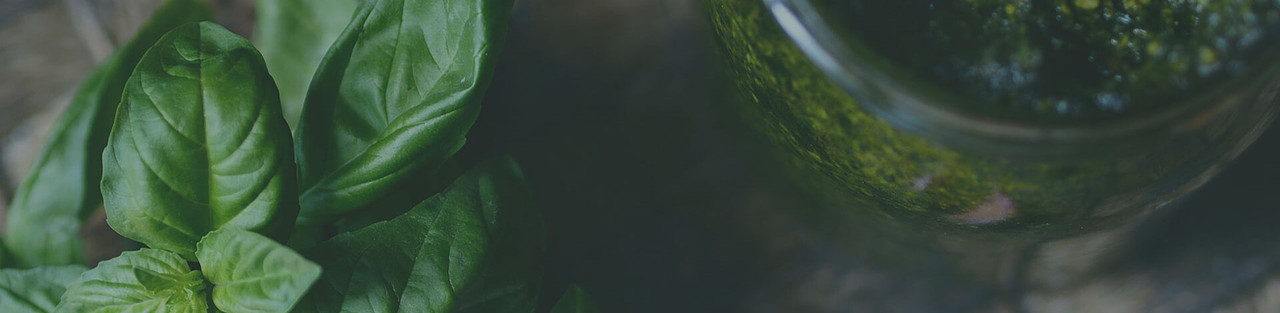 Dig in to a fresh new recipe