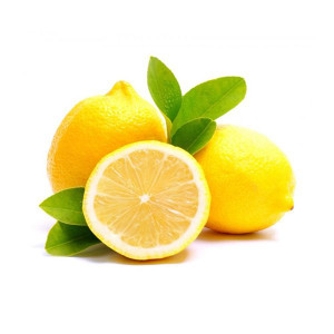 Sed diam nonumy eirmod tempor invidunt Sed diam nonumy eirmod tempor invidunt