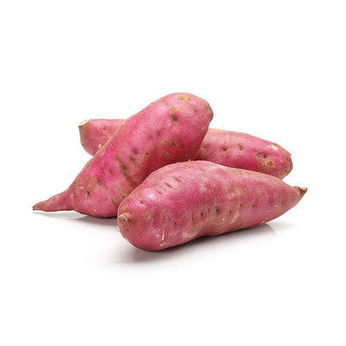 vulputate velit esse molestie consequat vulputate velit esse molestie consequat