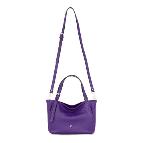 Viola
