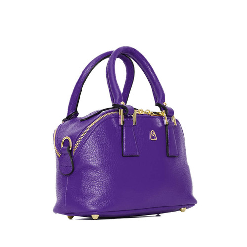 Viola