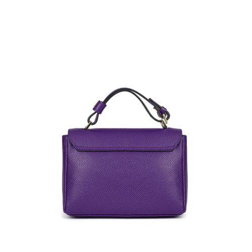 Viola