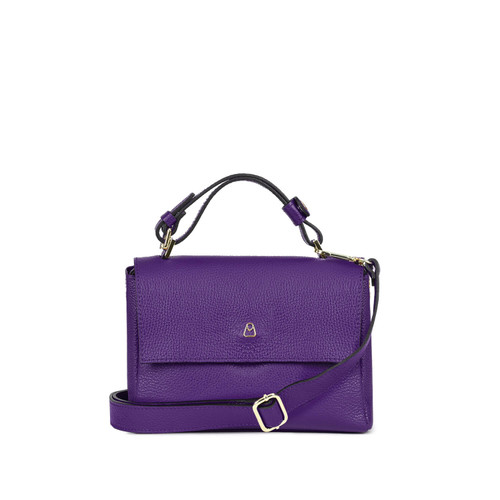 Viola