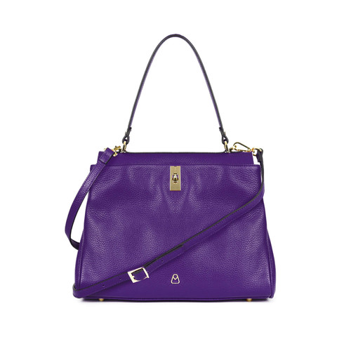 Viola