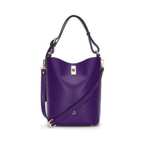 Viola