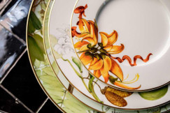 Buy Amazonia Coffee Cup And Saucer online at BelleandJune.com | Coffee and Tea Cups