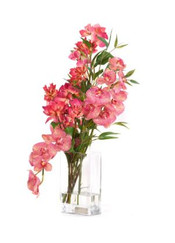 Emilio Robba Fuchsia Bush Bougainvillea & Phala with Bamboo in Deco Vase 