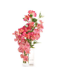 Emilio Robba Fuchsia Bush Bougainvillea & Phala with Bamboo in Deco Vase 