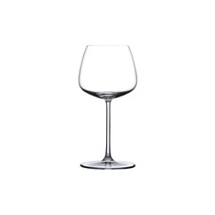 Nude Mirage White Wine Glasses (Set of 2) 