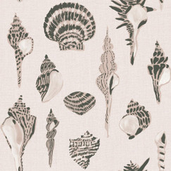 Mitchell Black Sullivan’s Island Shells - Barely Blush by Megan Molton 