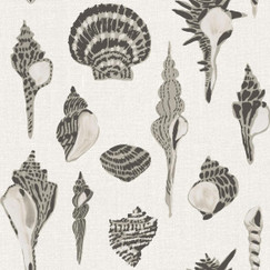 Mitchell Black Sullivan’s Island Shells - Dune Veil Beige by Megan Molton 