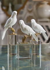 Parrot On Crystal