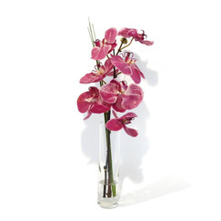 Emilio Robba Fuchsia Phalaenopsis Orchid Branch Bud Vase 