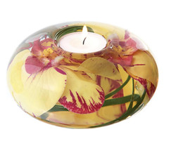 Emilio Robba Yellow and Fuchsia Phaleanopsis Candle Holder 