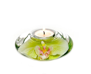 EMILIO ROBBA Bace エミリオ・ロバ fatlava Faux Floral Design & Home Decor • French Design • Handmade in US